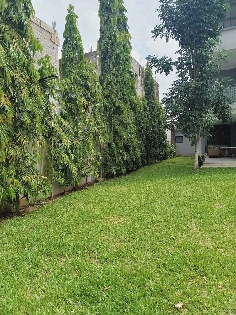 Duplex for sale 613 m². BINGERVILLE. 