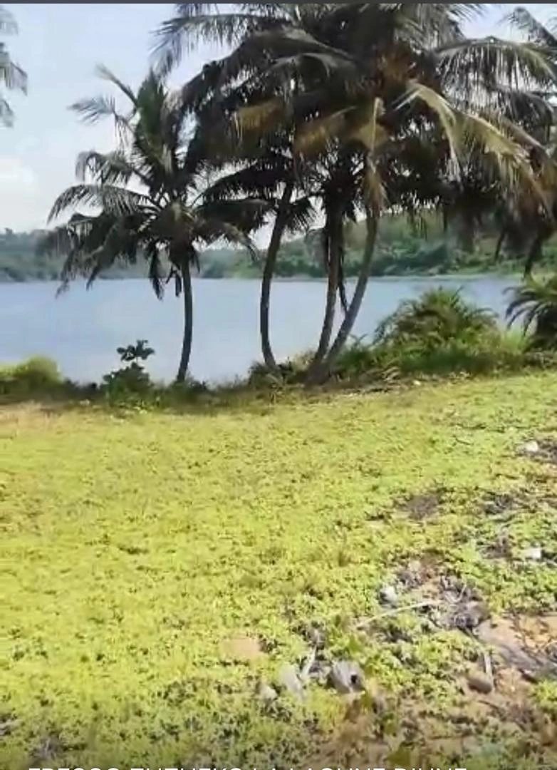 Land for sale for residential construction. 2250747900315, Zuzueko, Abidjan. 